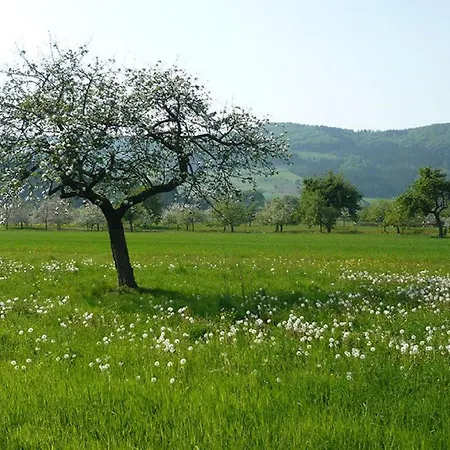 Apartamento Ziegelhof *