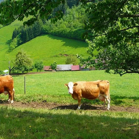 Ziegelhof Apartamento