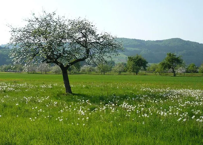 Apartamento Ziegelhof *